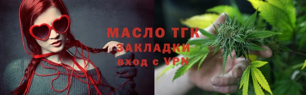 крисы Чердынь