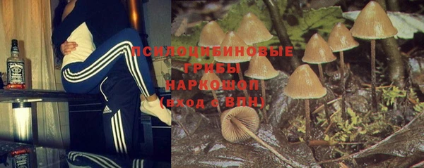 прущая мука Аркадак